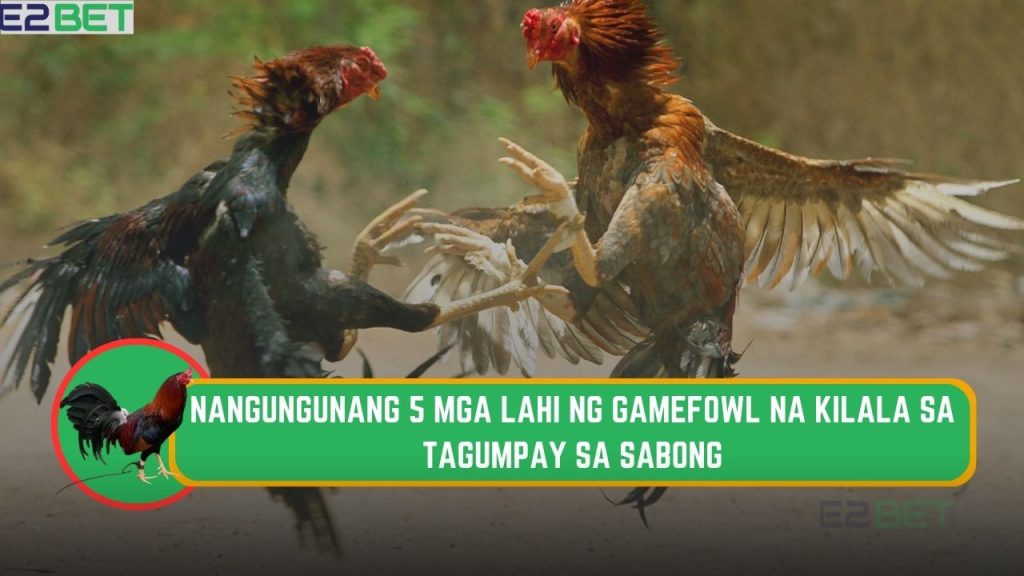 Tagumpay sa Sabong