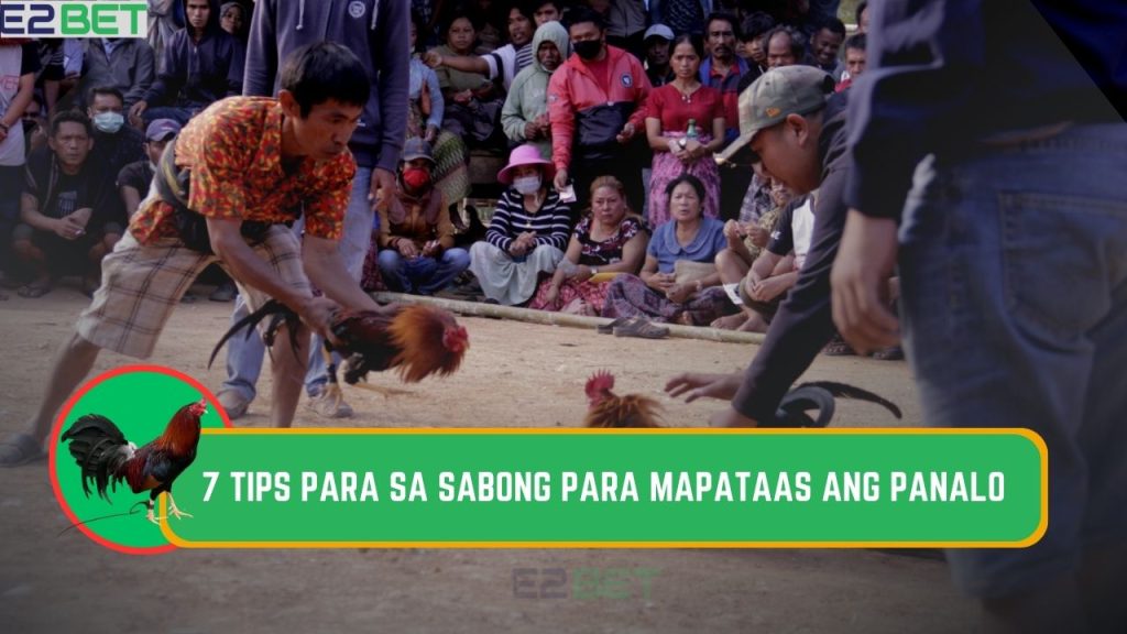 7 Tips para sa Sabong para Mapataas ang Panalo