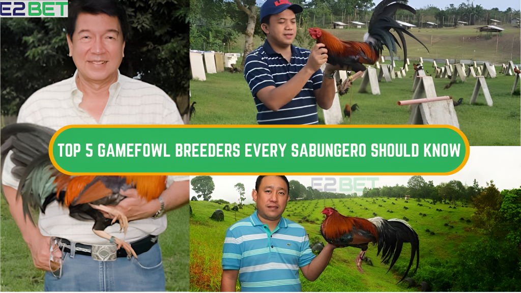 Top 5 Gamefowl Breeders Every Sabungero Should Know