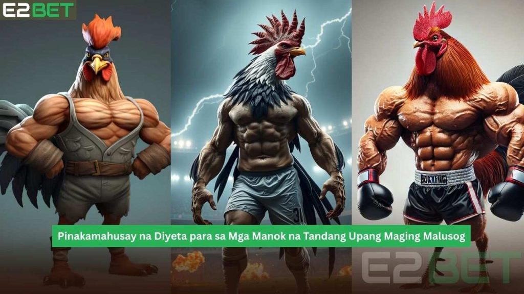 Pinakamahusay na Diyeta para sa mga Manok na Tandang upang Maging Malusog at Malakas