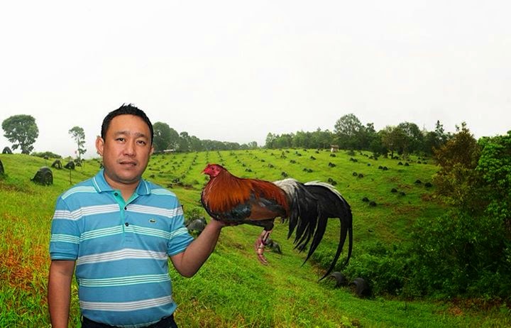 Gamefowl Breeders
