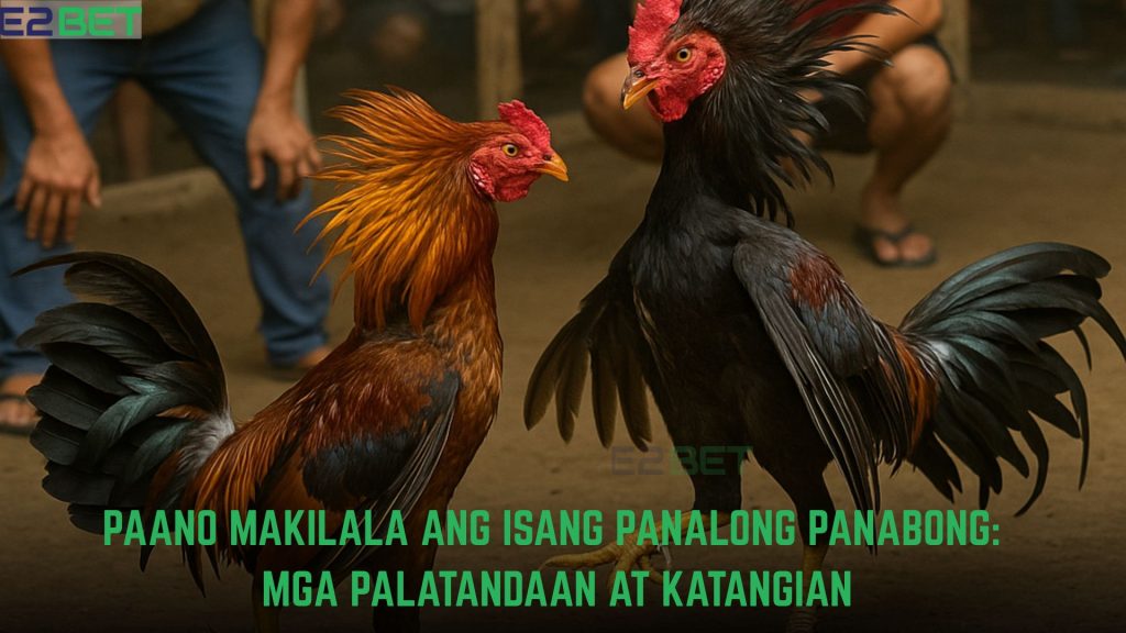 Paano Makilala ang Isang Panalong Panabong