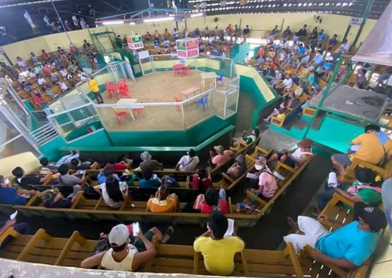Ang Sabong bilang Paraan ng Pamumuhay sa Pilipinas