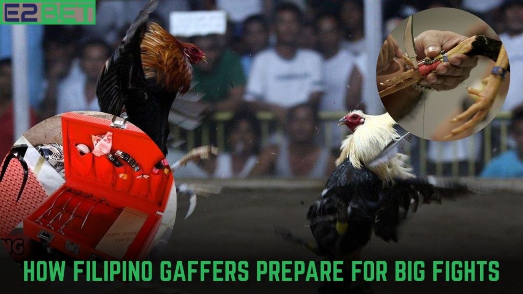 How Filipino Gaffers Prepare for Big Fights