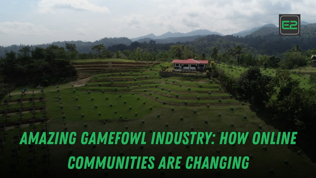 gamefowl industry