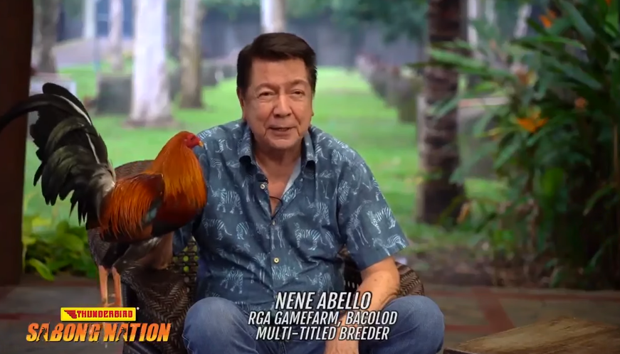 Highest-Earning Gamefowl Farms