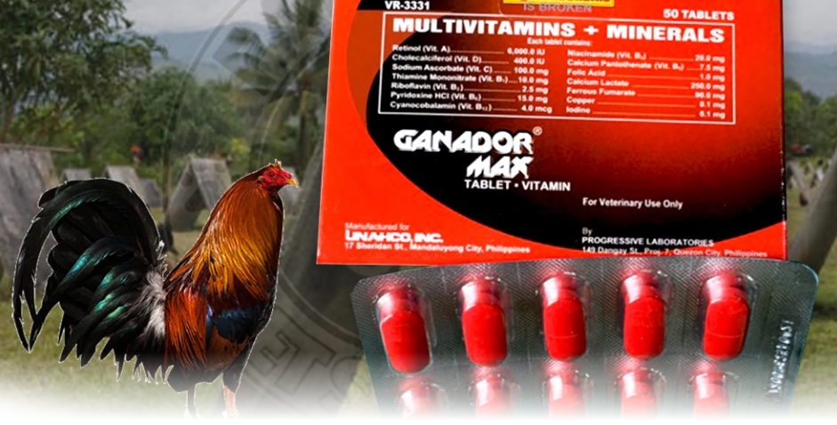 Best Feeds and Supplements for Gamefowls