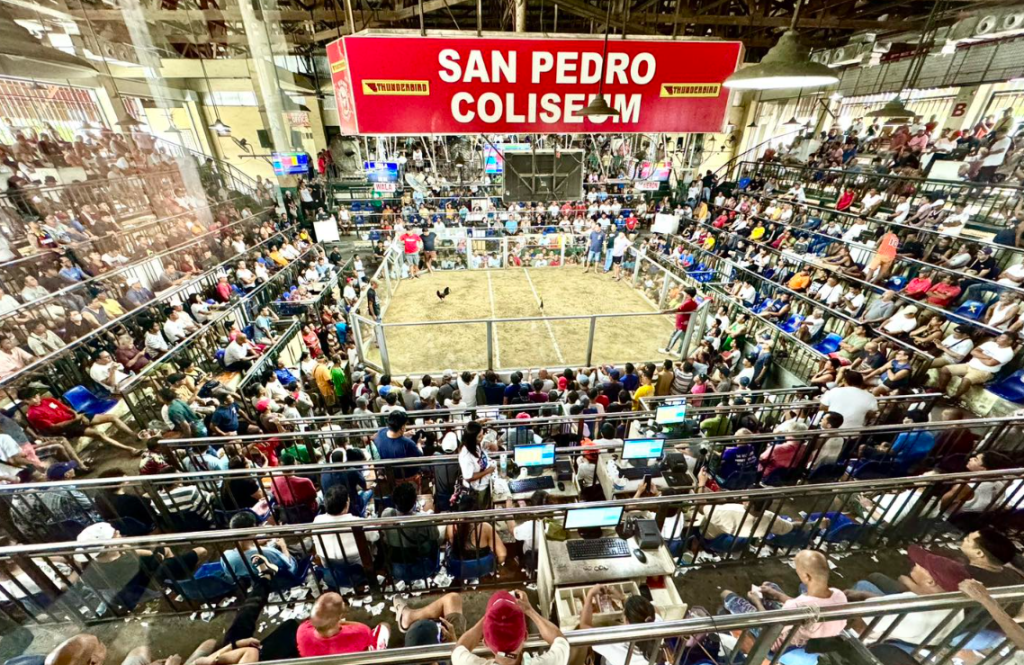 Biggest Cockfighting Arenas