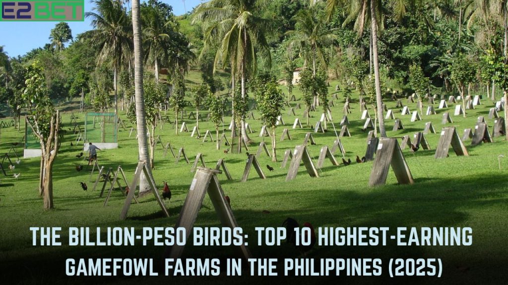 Highest-Earning Gamefowl Farms