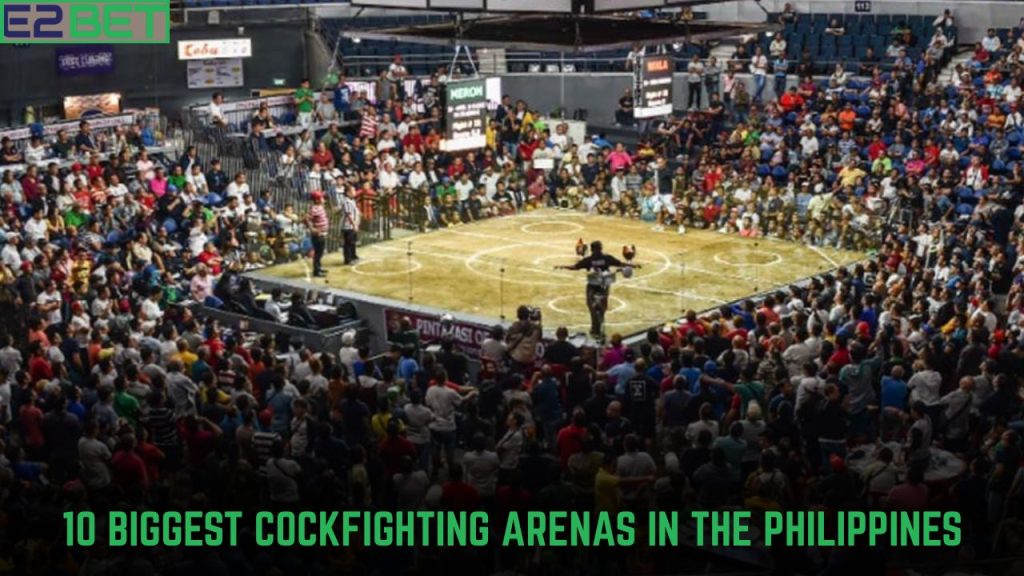 Biggest Cockfighting Arenas