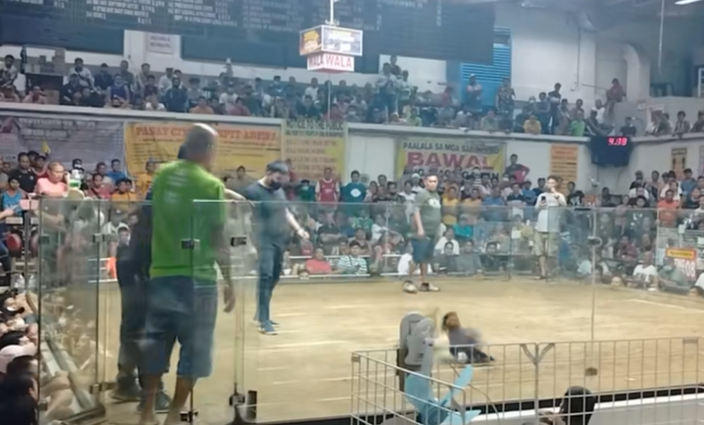 Biggest Cockfighting Arenas